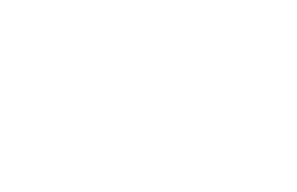 Denton BBQ LLC